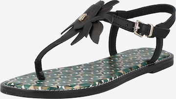 Tongs TOMMY HILFIGER en noir : devant