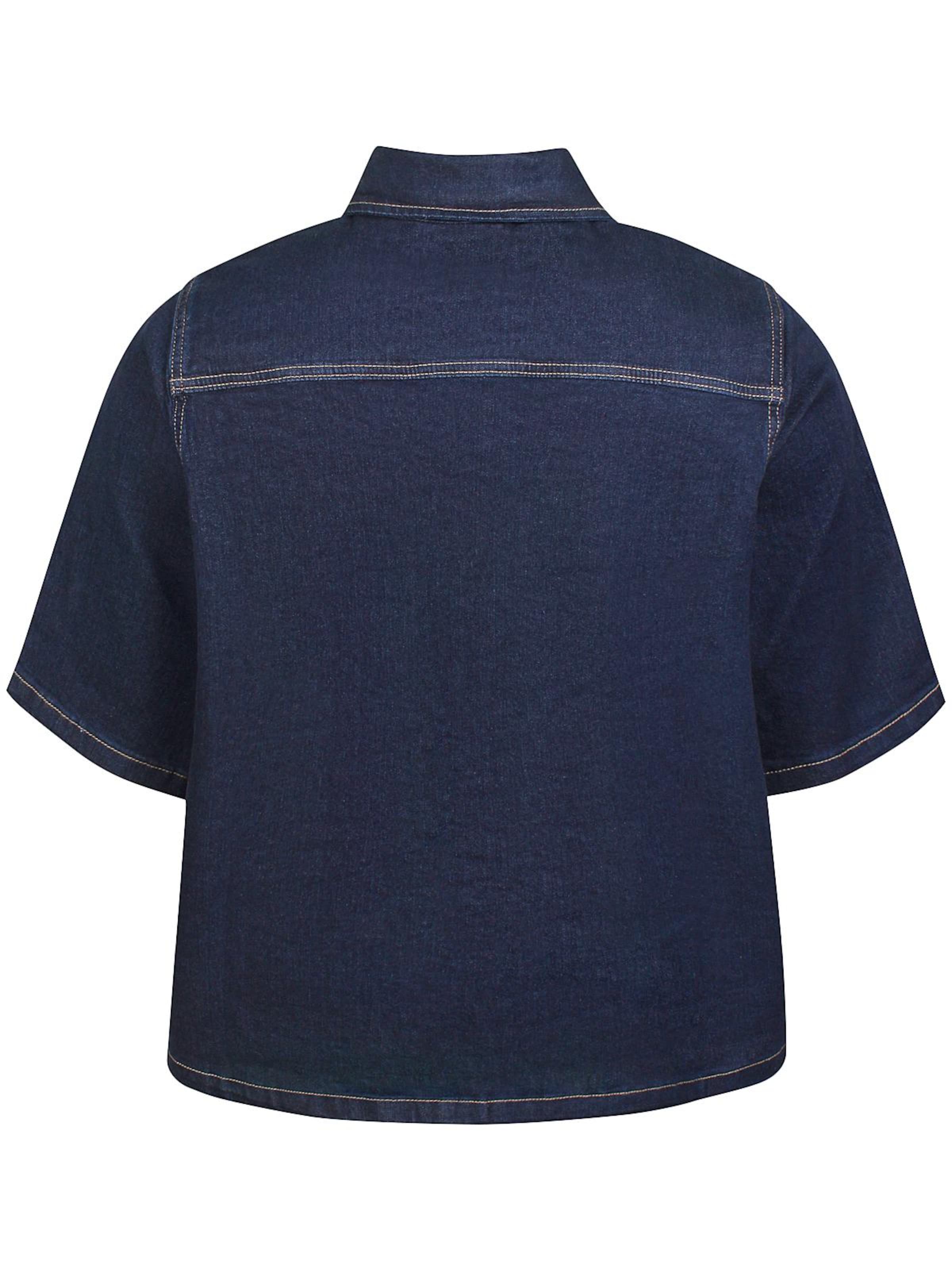Anyday Shirt 'Pome 411' in Blauw