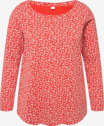 Angel of Style Shirt in Orange: predná strana