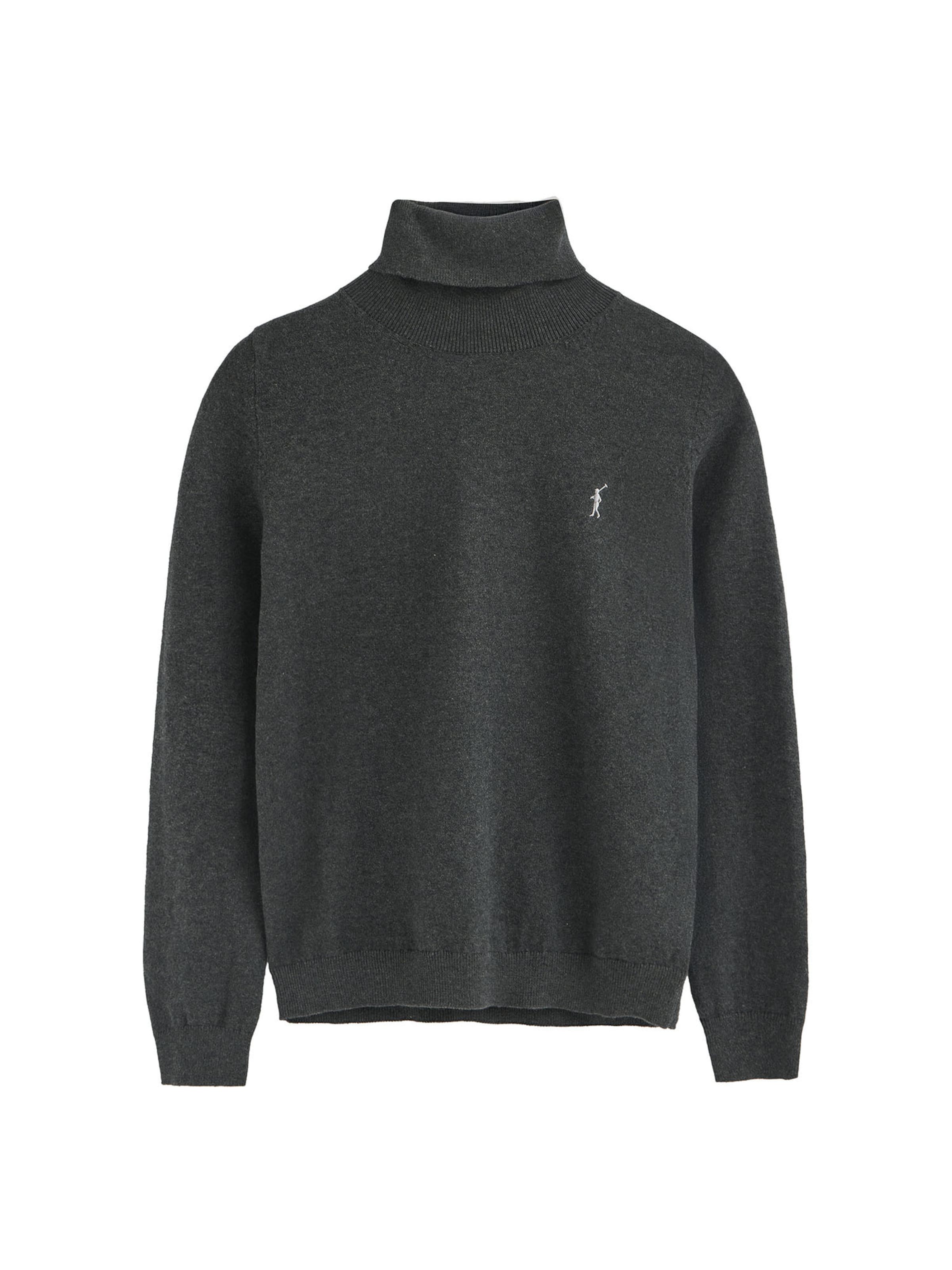 Polo Club Pullover in Grau: Vorderseite