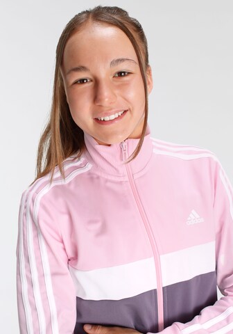 ADIDAS PERFORMANCE - Fato de treino 'Essentials Tiberio' em rosa