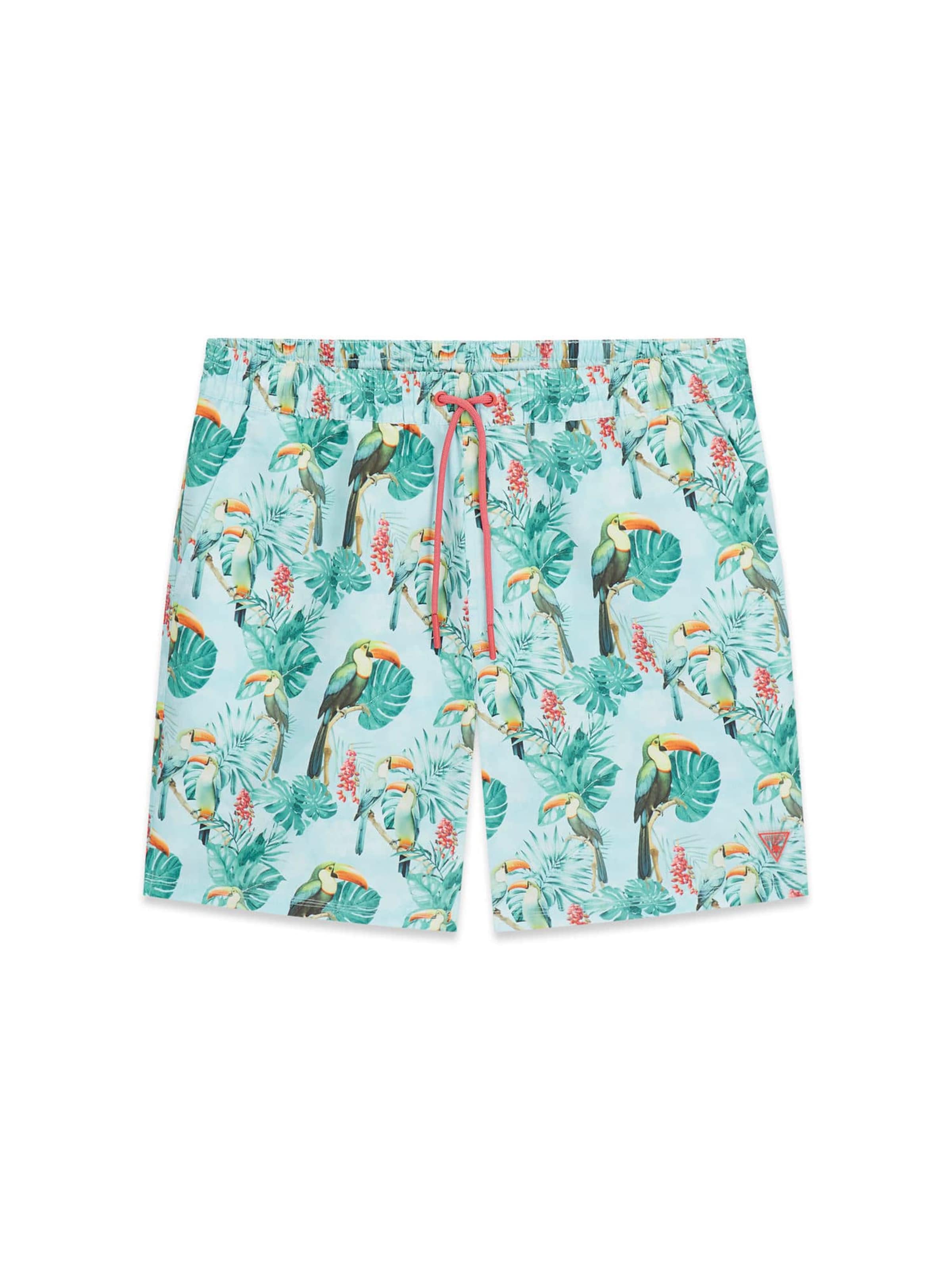 GUESS Board Shorts in Green: front