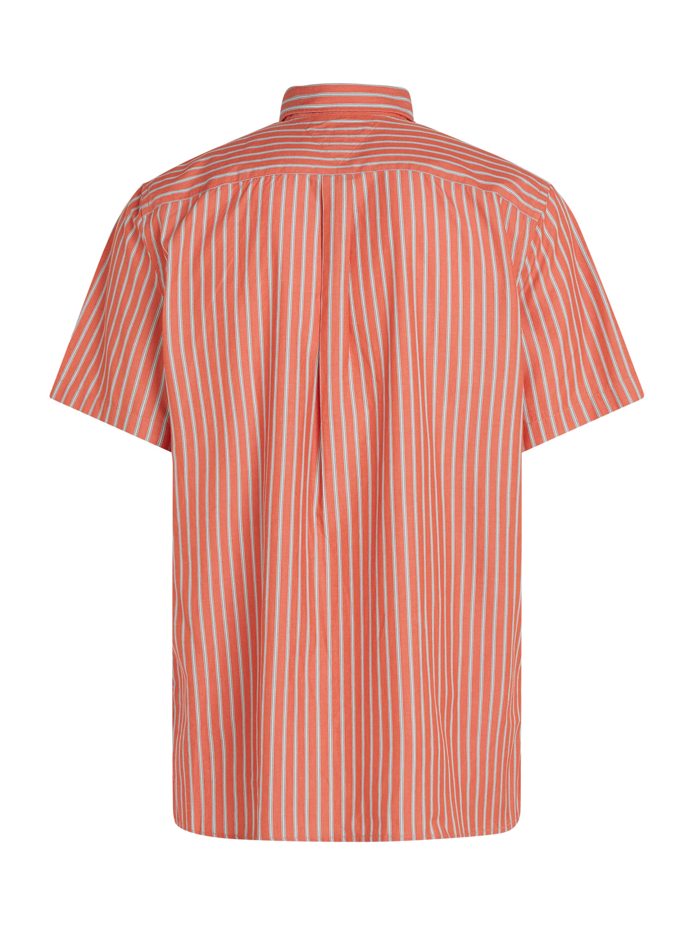 Coupe regular Chemise 'Flex' TOMMY HILFIGER en orange