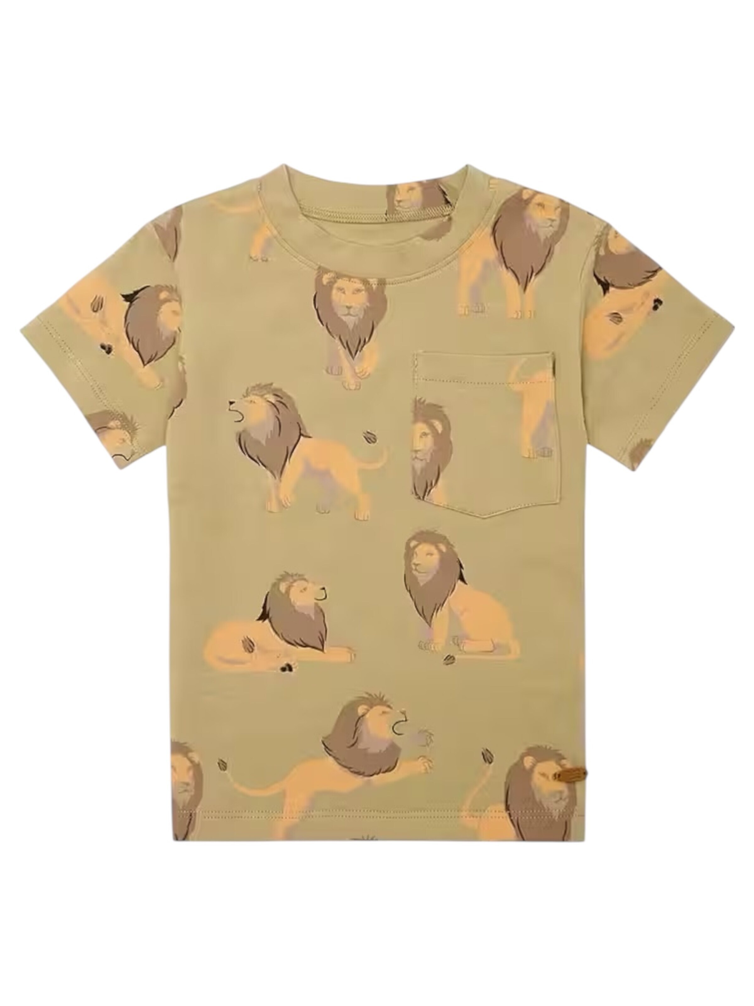 Hust & Claire Shirt in Green: front