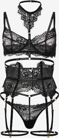 Orchibelle Underwear Sets in Black: front