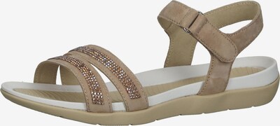 ARA Sandalen met riem in de kleur Beige / Goud / Zilver, Productweergave