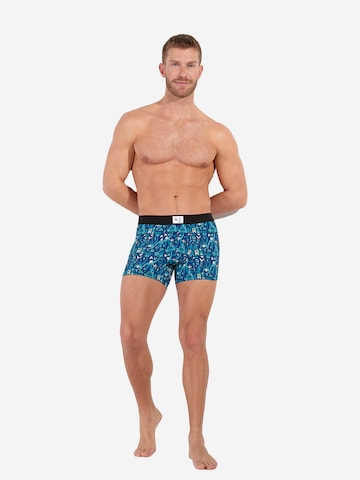 HOM Boxer shorts ' Voyages Boxer Briefs ' in Blue