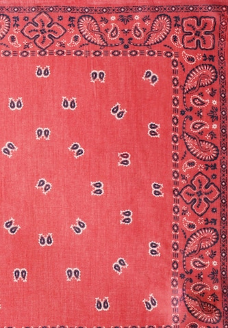 Sciarpa 'Felicy' di Pepe Jeans in rosa