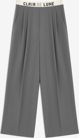 Twist Loose fit Pleat-Front Pants in Grey: front