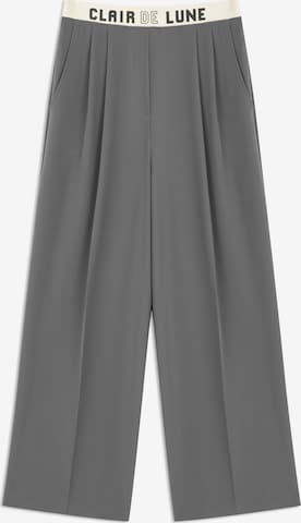 Twist Pleat-Front Pants in Grey: front