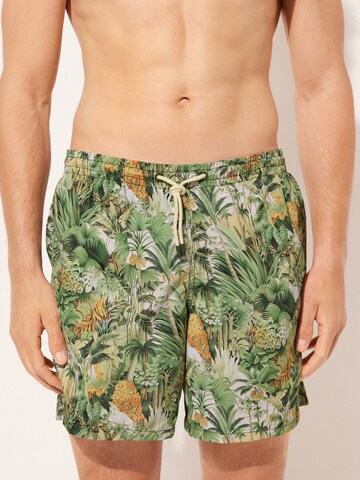 CALZEDONIA Regular Badeshorts in Grün: Vorderseite