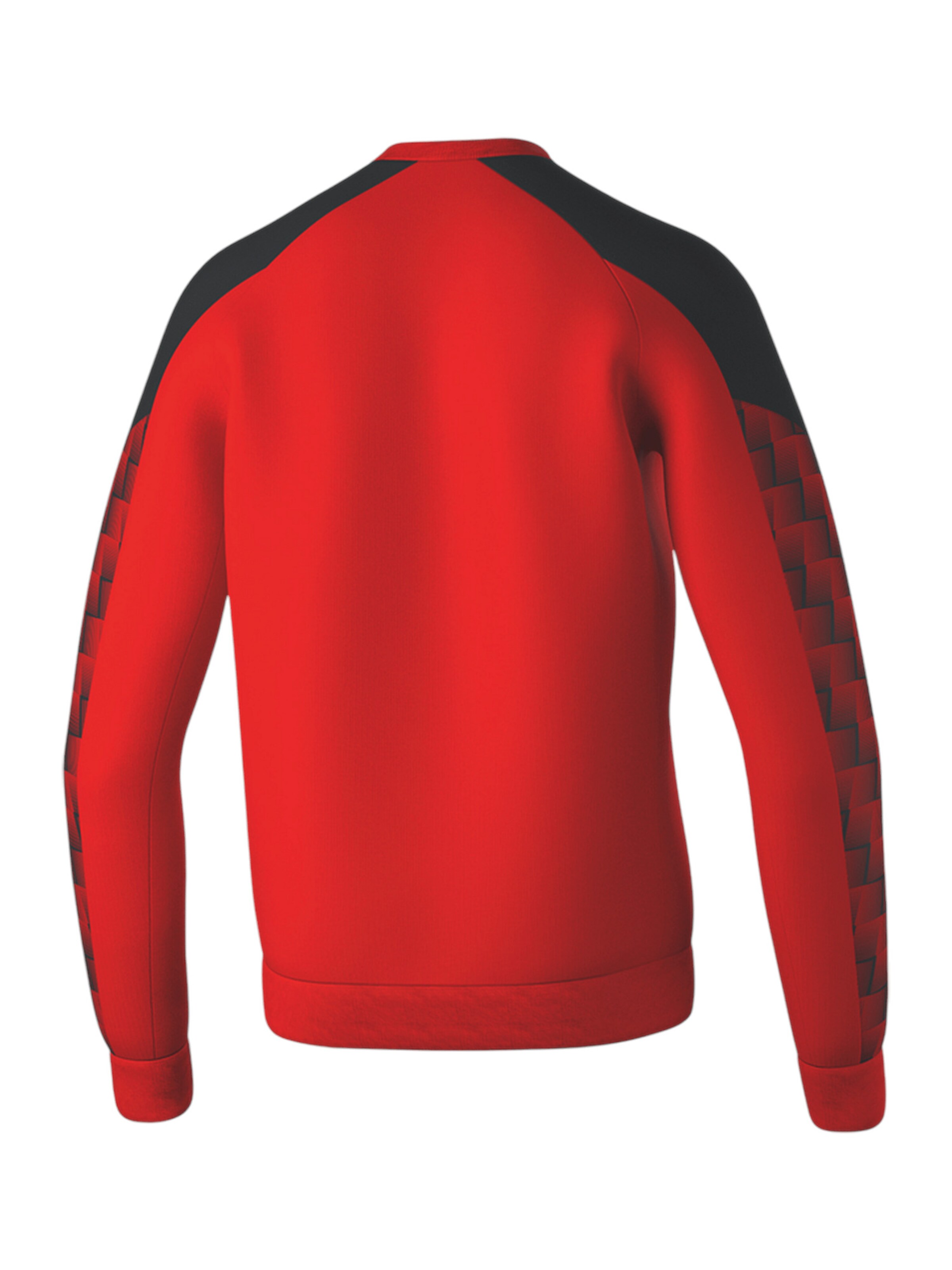 ERIMA Sportsweatshirt 'Evo Star' i rød