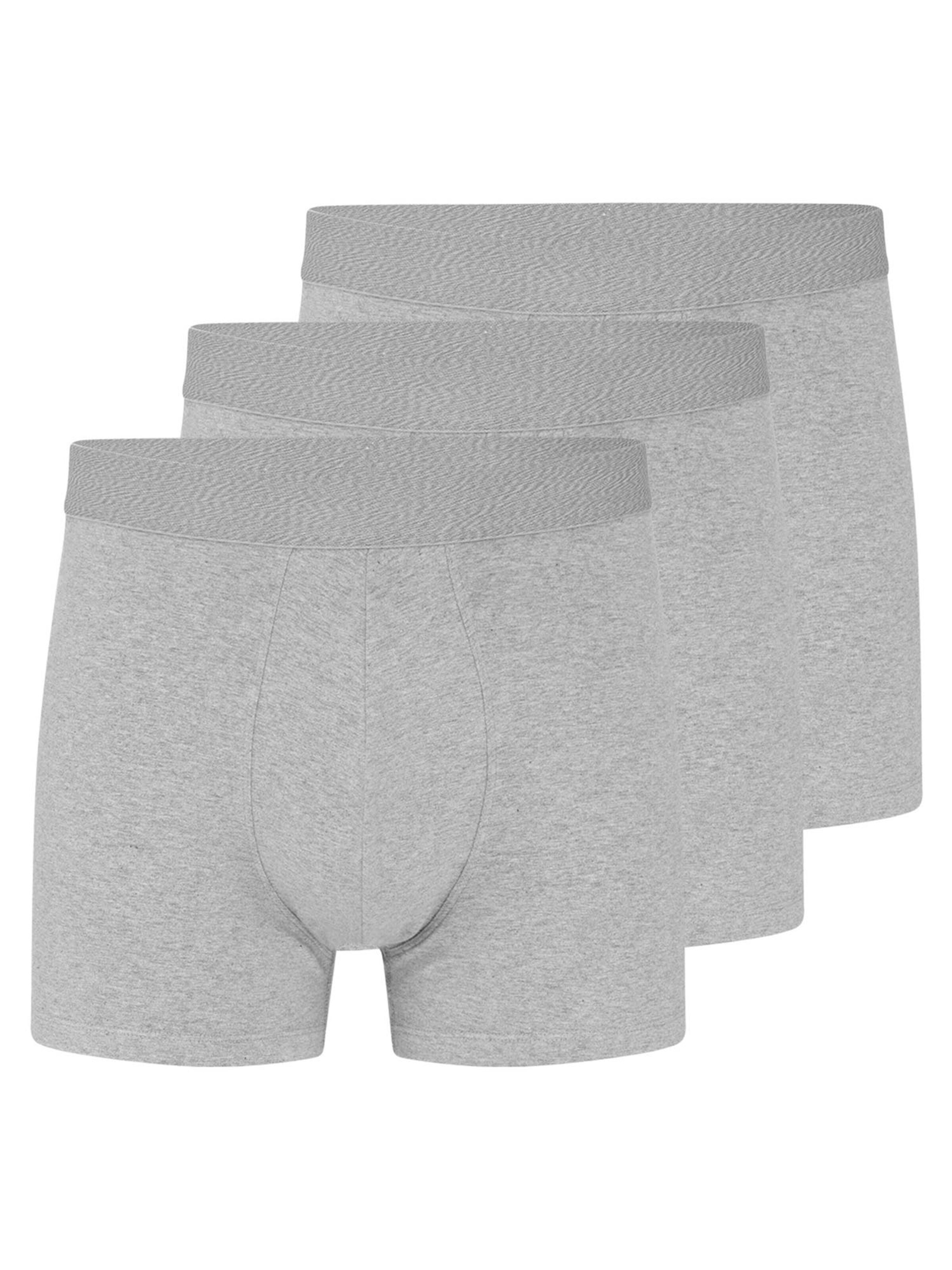 Almonu Boxer shorts 'Cotton' in Grey: front
