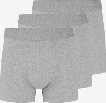 Almonu Boxer shorts 'Cotton' in Grey: front