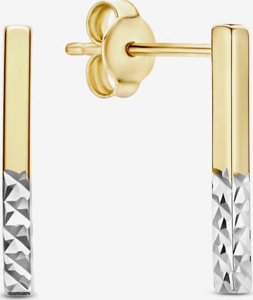 Isabel Bernard Earrings in Gold: front