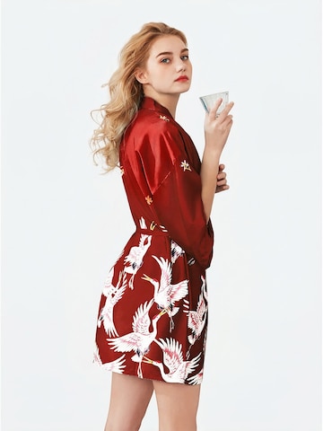 Vivi Idee Dressing Gown 'Nachthemd' in Red