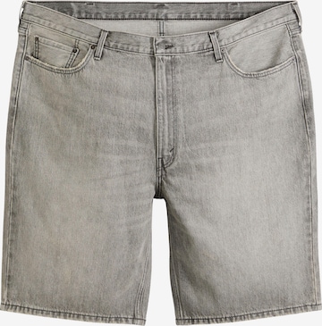 Levi's® PlusLoosefit Traperice - siva boja: prednji dio