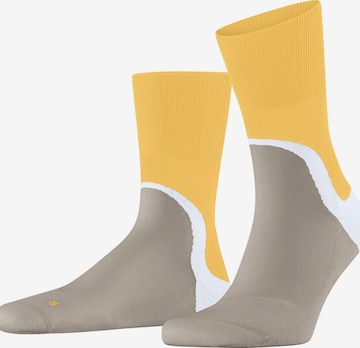 FALKE Socks 'Run Special Edition' in Beige: front