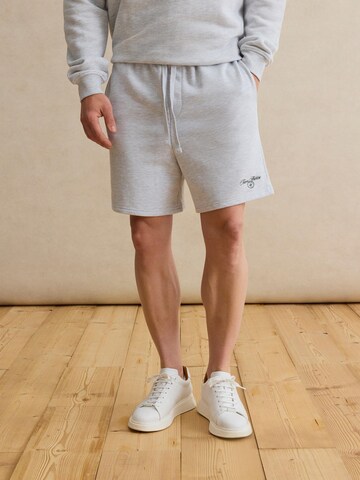DAN FOX APPAREL Свободный крой Штаны 'Carl' в Серый: спереди