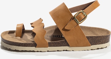 brūns Bayton Sandales 'MAJORELLE': no priekšpuses