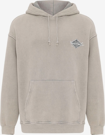 Felpa di Dandalo in grigio: frontale