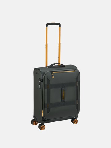 Trolley di Roncato in verde