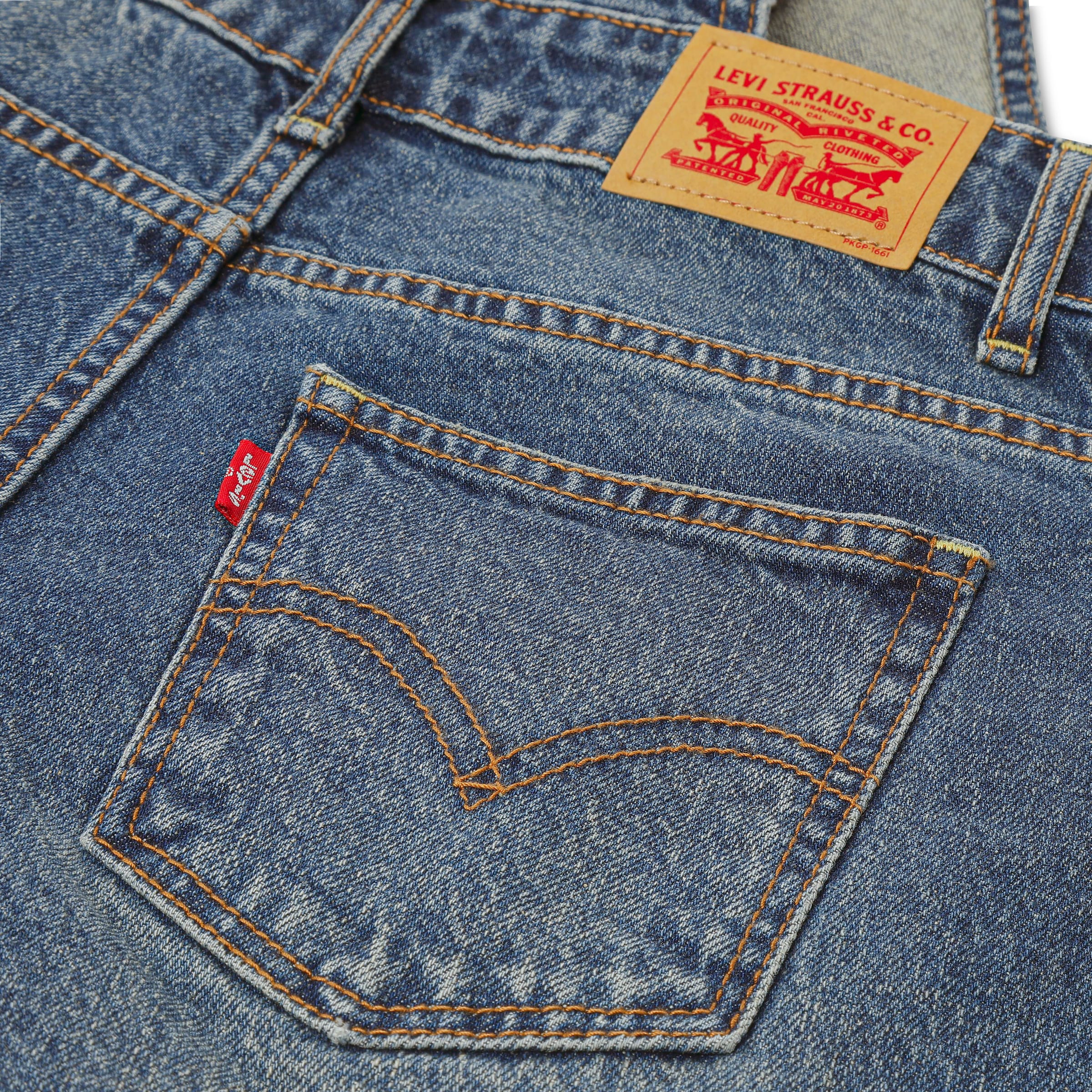 Levi's Kids Regular Overalls in Blue