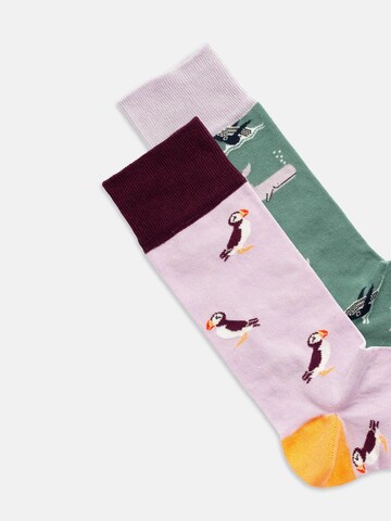 Chaussettes 'Water Enthusiasts' DillySocks en vert