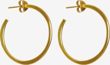 Haze&Glory Earrings 'Everyday' in Gold