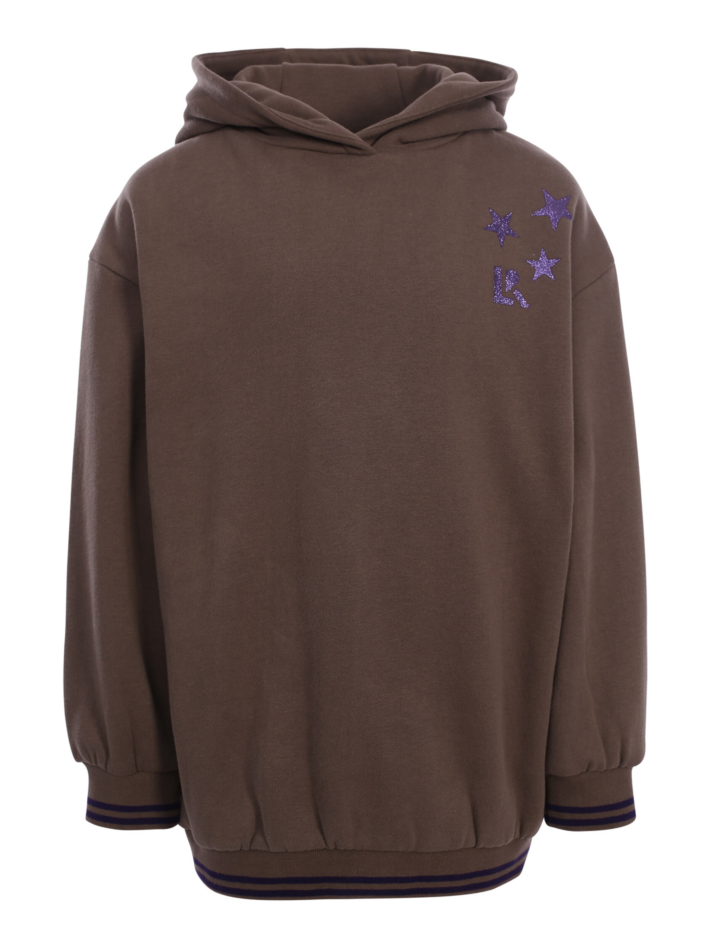 Looxs Revolution Sweatshirt in Brown: front
