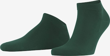 FALKE Socken 'ClimaWool' in Grün: Vorderseite