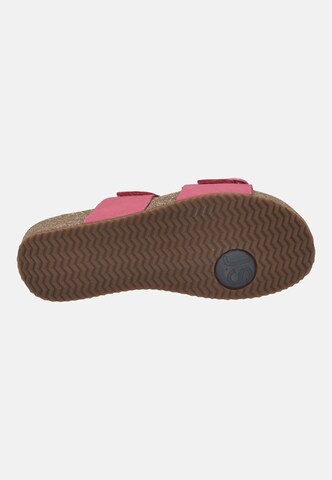 JOSEF SEIBEL Pantolette 'Tonga 64' in Pink