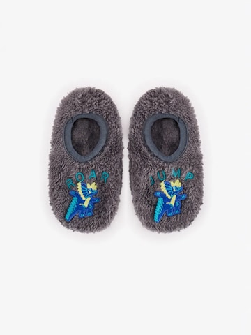 Penti Socken 'PENTI Jungen Roarsome Bootie-Hausschuhe'‌‌ in Grau: Vorderseite