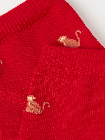 CALZEDONIA Socks in Red