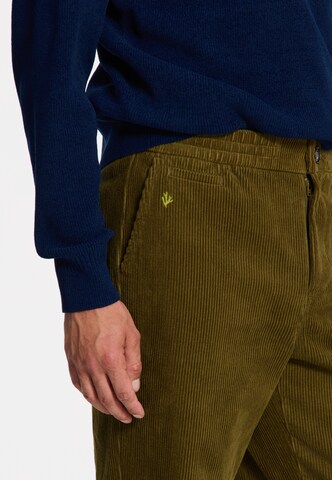 Shiwi Regular Broek 'Alan Corduroy' in Groen