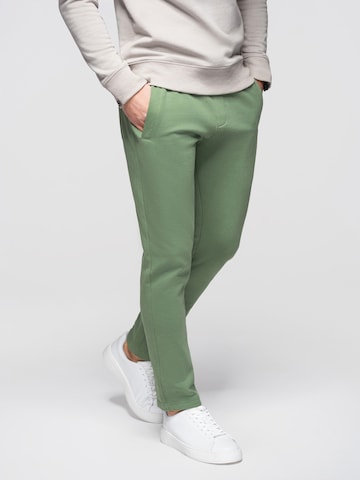 Ombre Slimfit Sporthose‌‌‌ in Grün