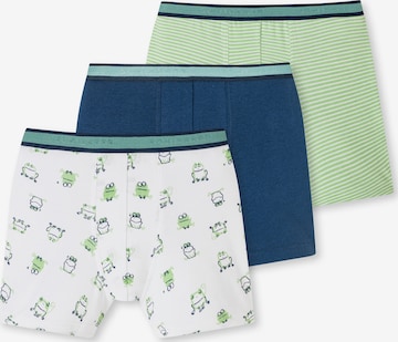 SCHIESSER Underpants in Blue: front