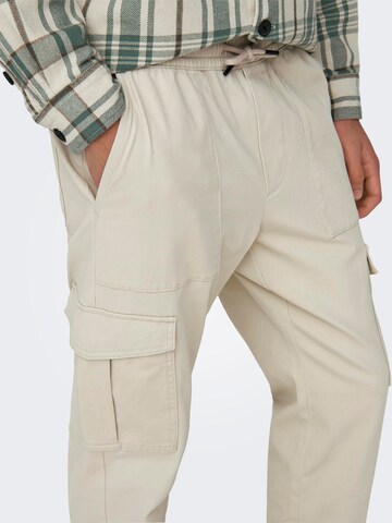 Regular Pantalon cargo 'LUC' Only & Sons en gris