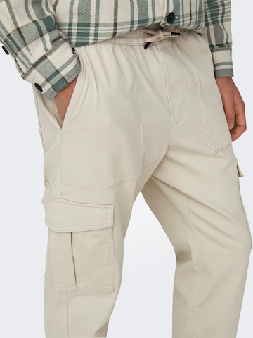 regular Pantaloni cargo 'LUC' di Only & Sons in grigio