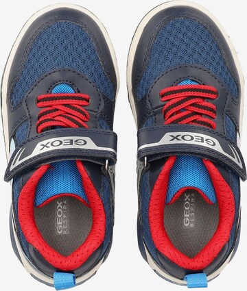 GEOX Sneakers in Blauw