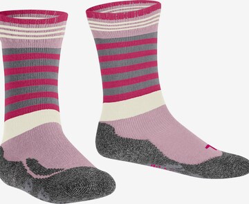 FALKE Socks 'Active Frog' in Pink: front