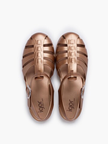 IGOR - Zapatos para playa y agua en marrón