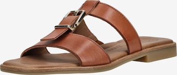 Zoccoletto di Paul Green in marrone: frontale