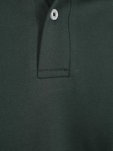 Steppin' out Shirt in Green