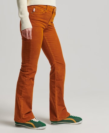 Superdry Flared Pants in Green