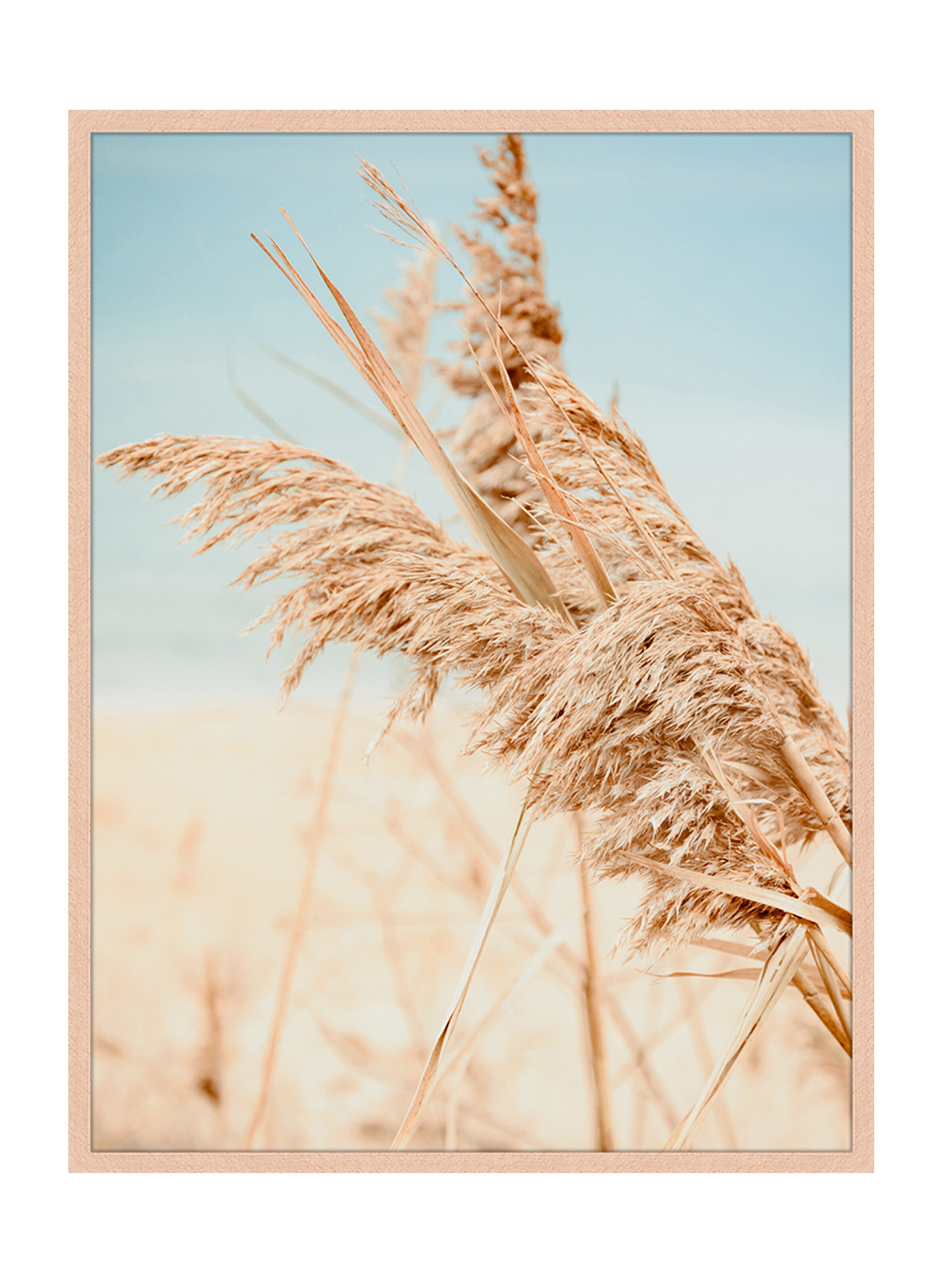 Liv Corday Image 'Grass' in Brown: front