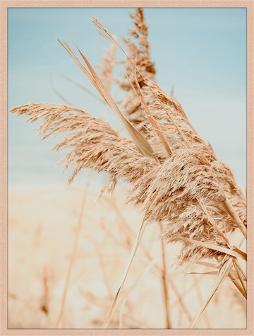Liv Corday Bilder 'Grass' in Braun: predná strana