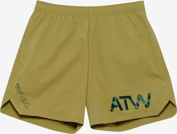 HALO Pants in Green: front