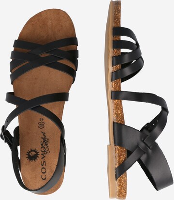 COSMOS COMFORT Strap Sandals in Black