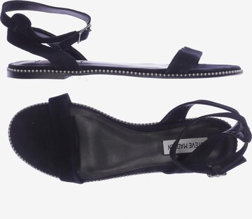 STEVE MADDEN Sandalen 40 in Schwarz: predná strana